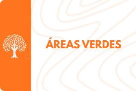 Card retangular horizontal com cantos arredondados, composto por uma faixa vertical laranja à esquerda contendo a ilustração em linhas brancas de uma árvore frondosa com raízes e muitas folhas, e uma área maior à direita com fundo branco e linhas onduladas suaves, onde se destaca o texto 