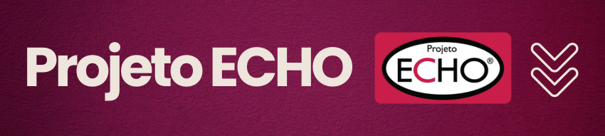 Banner superior com fundo branco, escrito em rosa escuro Projeto ECHO e logo do projeto à direita. O banner possui ainda uma barra rosa escuro inferior e um contorno dos principais monumentos da cidade de São Paulo.