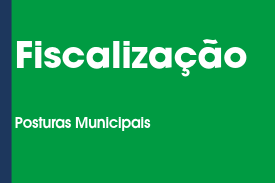 Imagem com fundo verde e faixa vertical azul-marinho à esquerda. O texto principal, em letras grandes e brancas, é 