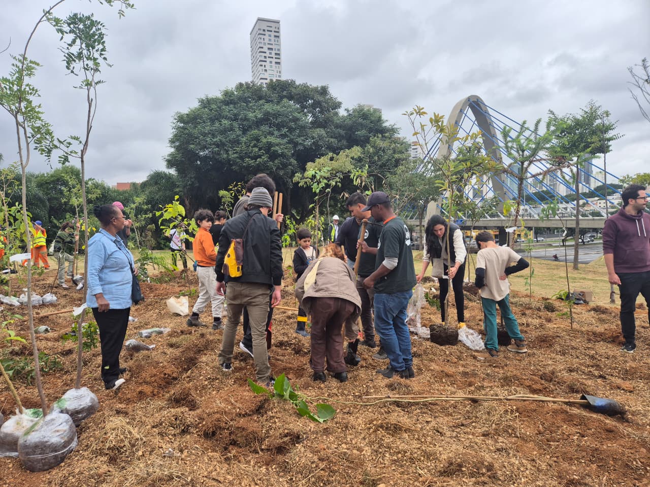 Imagem mostra um mutirão de plantio coletivo em uma área urbana de São Paulo. Adultos, jovens e crianças participam da atividade, realizando o plantio de mudas nativas em um terreno preparado para recuperação ambiental. Ao fundo, é possível ver árvores já estabelecidas, novas mudas distribuídas pelo espaço e uma ponte estaiada que compõe a paisagem urbana da cidade. O céu está nublado e os participantes colaboram na implantação da futura área verde.